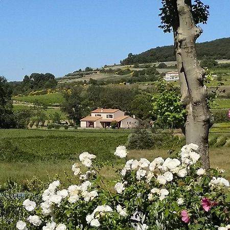 Domaine De Peilhan Roujan Exterior photo