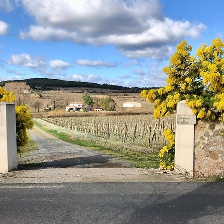 Domaine De Peilhan Roujan Exterior photo
