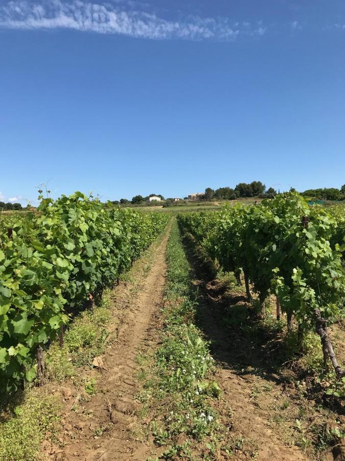 Domaine De Peilhan Roujan Exterior photo