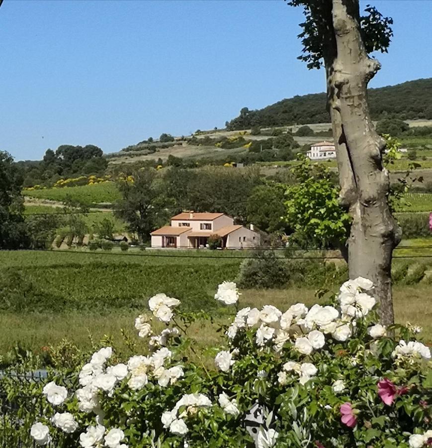 Domaine De Peilhan Roujan Exterior photo