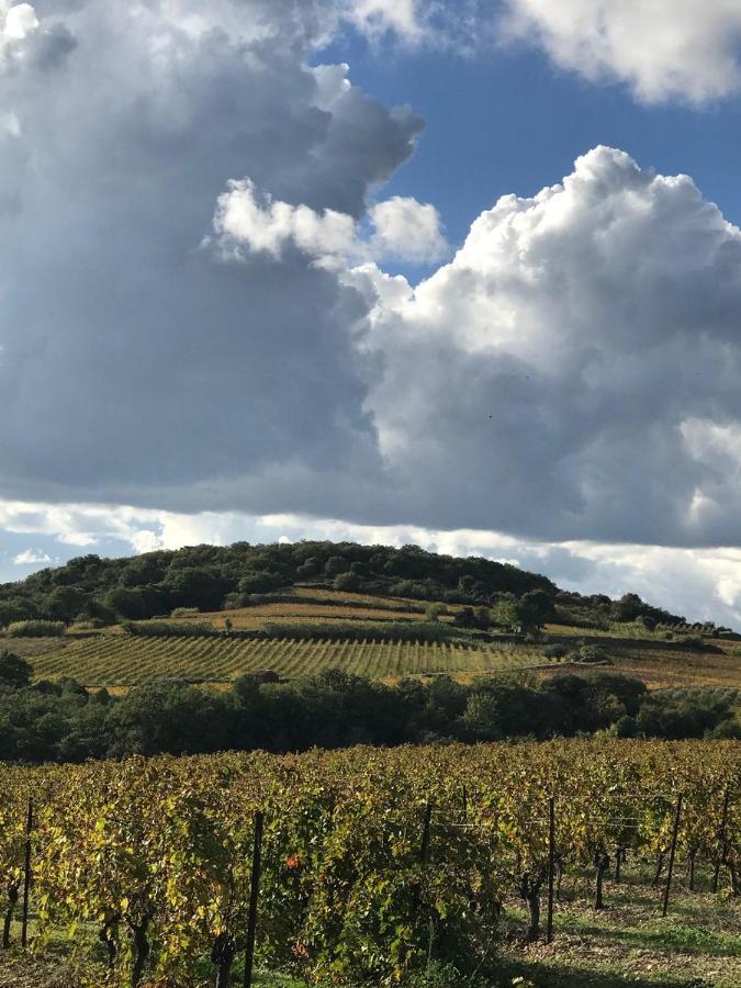Domaine De Peilhan Roujan Exterior photo