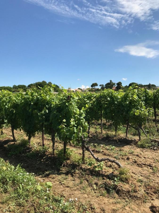 Domaine De Peilhan Roujan Exterior photo