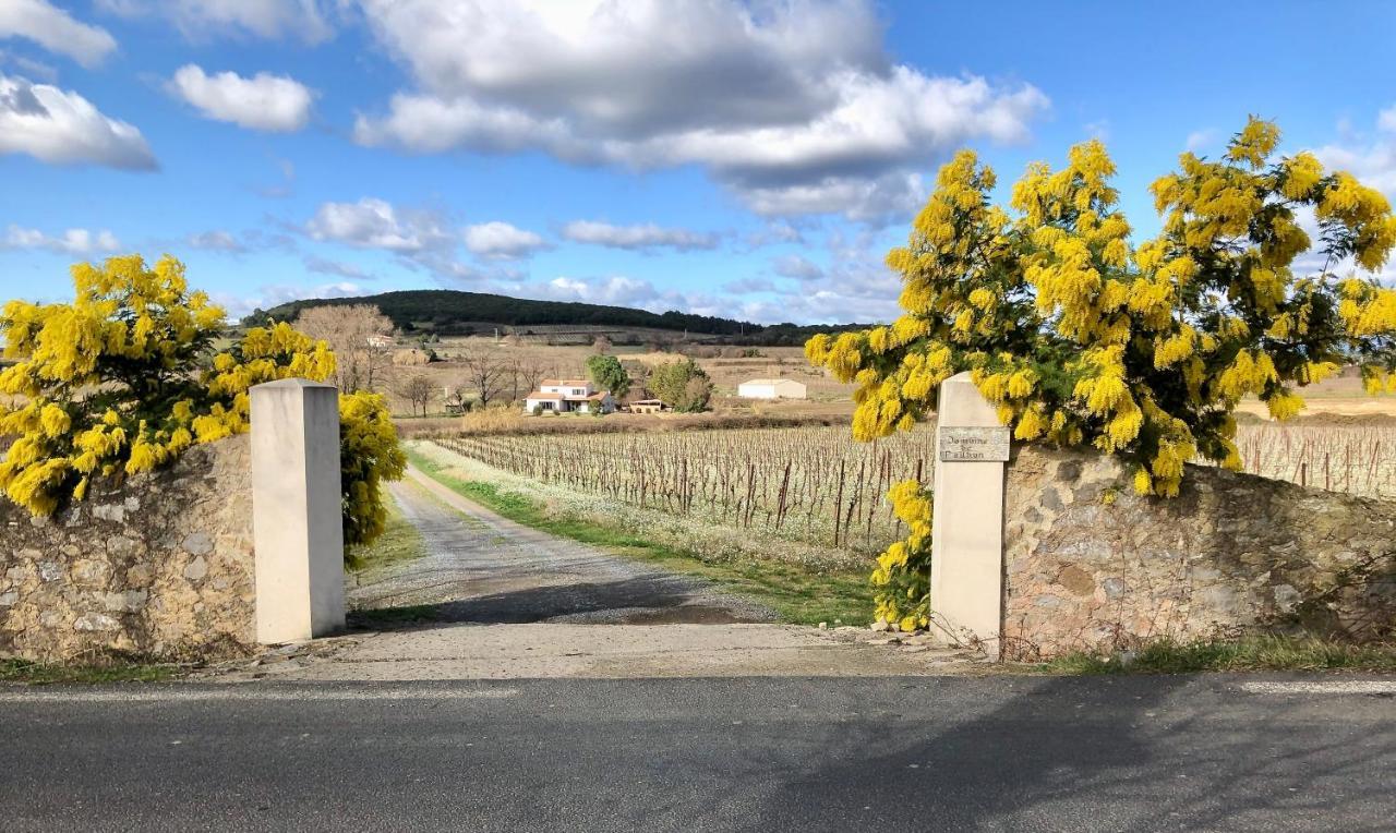 Domaine De Peilhan Roujan Exterior photo