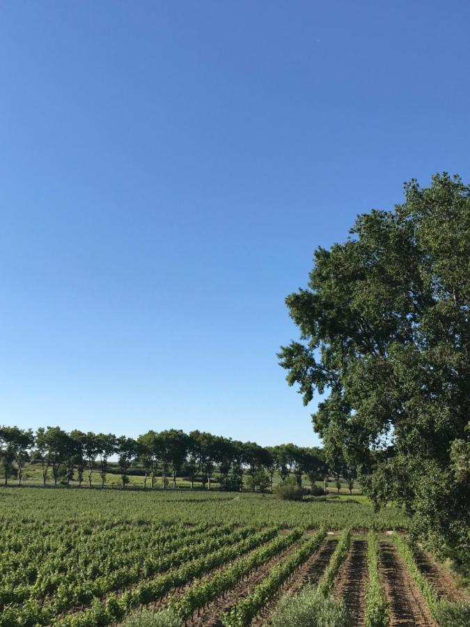 Domaine De Peilhan Roujan Exterior photo