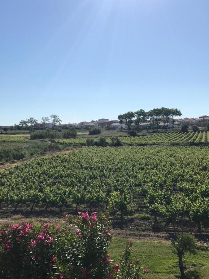 Domaine De Peilhan Roujan Exterior photo